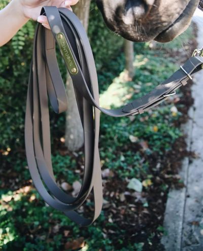 Stallion Lead Black (4m)