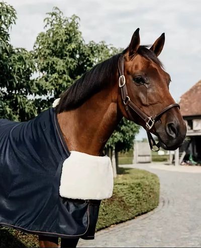 Borstbescherming Paard BIB borstbescherming Schapenvacht Kentucky
